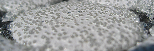 Close up of rounds glass beads used in road markings